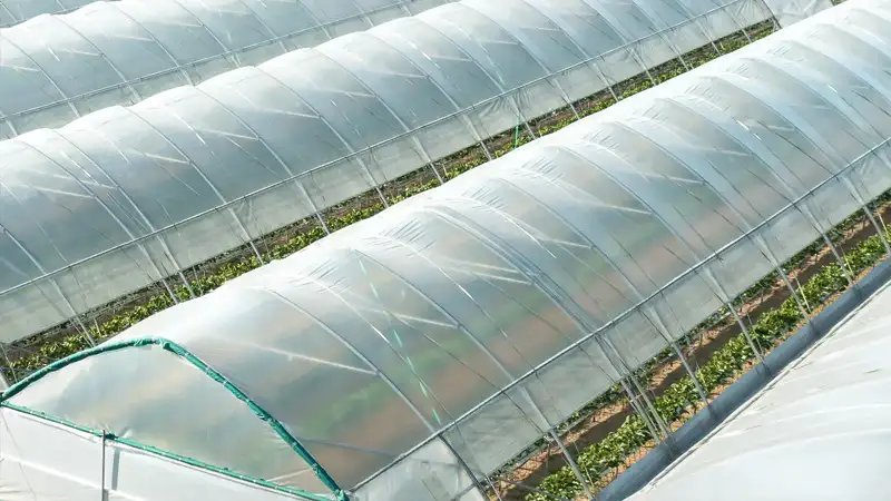 Nowogreen Gewächshaus